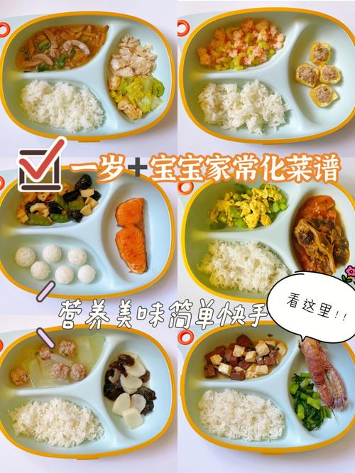 **岁宝宝营养食谱美食
-**