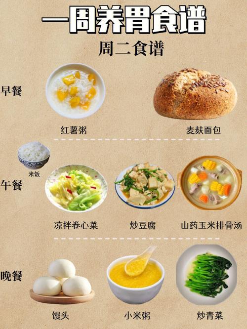 养胃食谱大全100种食物