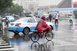 甘肃暴雨，挑战与应对