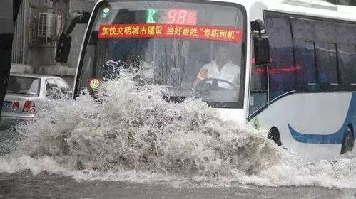 济南特大暴雨车辆被冲走事件真相解析