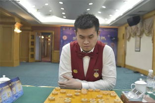 王天一，从中国象棋第一人到法制下的反思