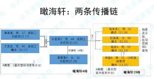 西尼罗病毒肆虐多国，起源、影响与应对策略