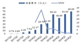 拼多多一夜蒸发554亿美元，探究背后的原因与未来展望