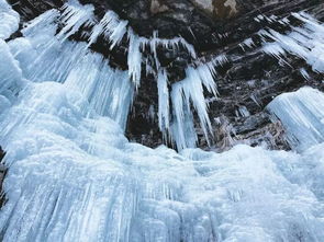 湖南奇观，蜉蝣纷飞如雪景