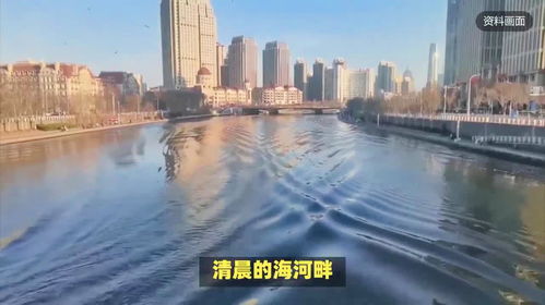 天津某地污水并未直排海河，实地调查与解析