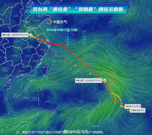 台风普拉桑即将登陆浙江沿海，一场严峻的挑战与准备