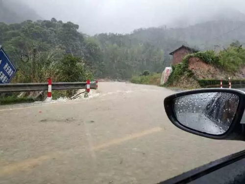 南京面临挑战，普拉桑带来的9级大风与暴雨考验