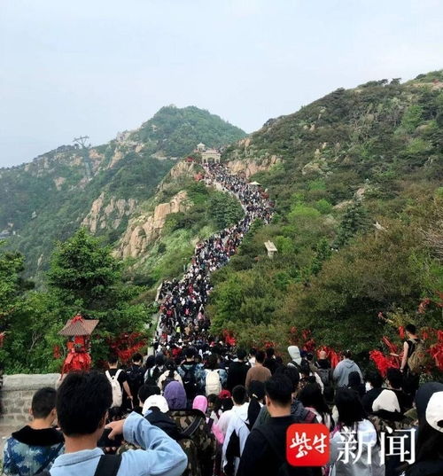 大学生兼职泰山陪爬，订单排到深秋