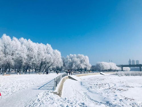 中国最北城市漠河下雪了