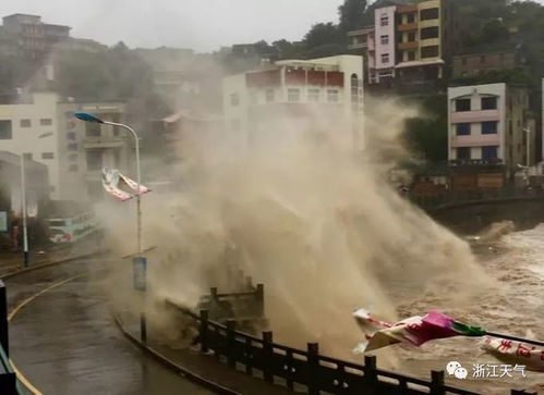 极端气候下的挑战，暴雪与超强台风同行