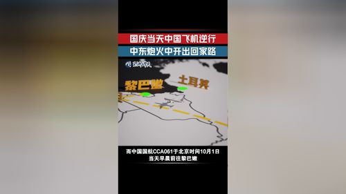 中国飞机炮火中逆行至黎巴嫩撤侨