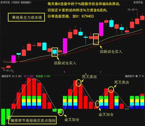 人在景区心系股市，股市与休闲活动的微妙关系