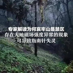 专家解读为何哀牢山是禁区