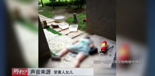 高空抛物致死案受害者家属发声，呼唤公正与正义