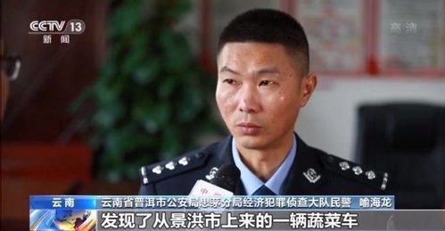 警虎于涛与四大家族案揭秘