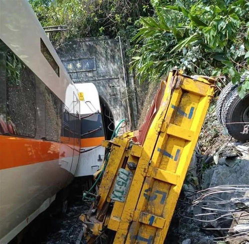 列车撞猪悲剧，机械师的意外身亡揭示安全漏洞