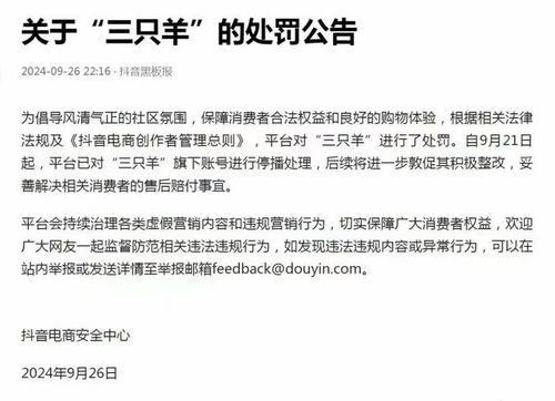 关于三只羊6894万罚款的回应