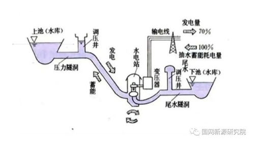 上海提醒市民提前囤水囤粮，理性应对，科学储备