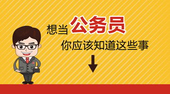 三只羊已全额缴纳罚款，企业社会责任与诚信经营之道