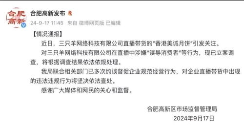 三只羊已全额缴纳罚款，企业社会责任与诚信经营之道