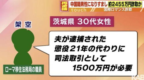 中国男子诈骗日本女子超8亿日元，跨国骗局的警示