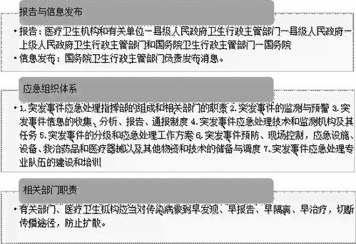 全面解读与注意事项