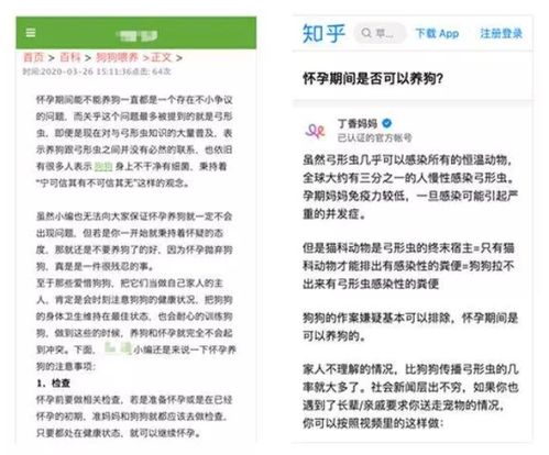 全面解析与用户体验分享