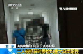 大麻种植背后的辛酸与代价，男子备婚种大麻，婚礼现场遭抓捕