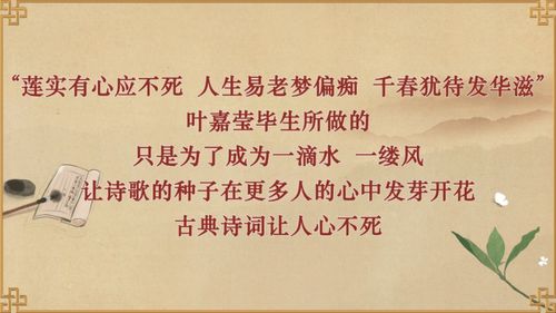 叶嘉莹先生逝世，传承诗词之美永驻人间