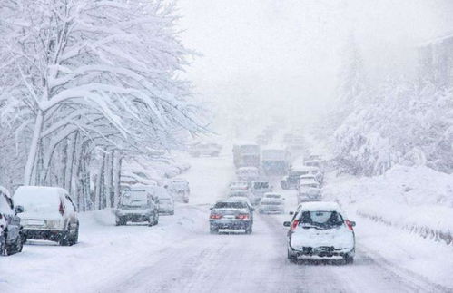 北京飘雪了，一场雪的记忆与情感交织