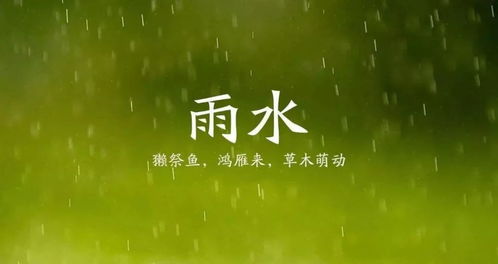 守护您的家，让雨水无处可藏