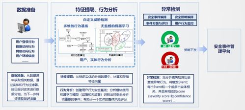 全面解析与用户评价