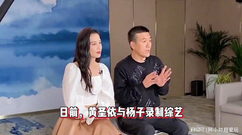 章子怡与杨子探讨再见爱人，真实与演绎的边界