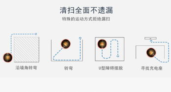 如何选择最适合你的清洁助手