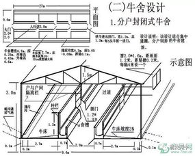 养殖场平面图设计全解析，高效养殖的蓝图