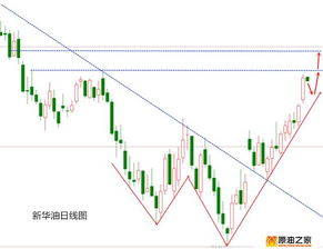 深入解读灌浆料价格—选择与应用的全方位指南